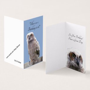 Cartão - Coruja Aniversário
