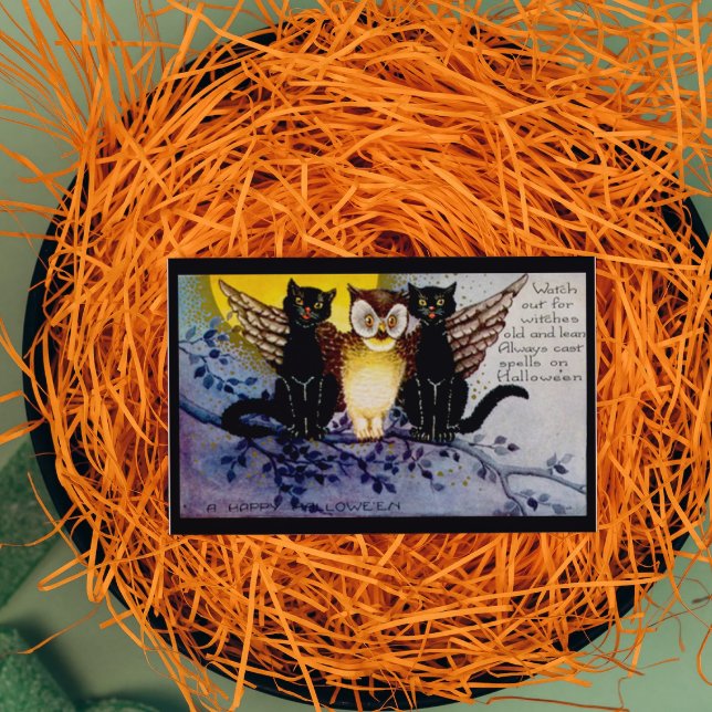Cartão Coruja das Halloween e Gatos Negros (Criador carregado)