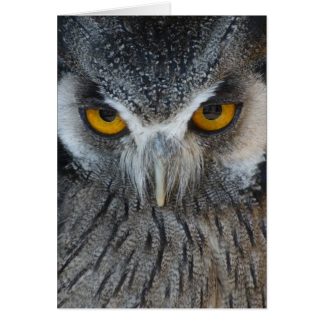 Cartão Coruja preto e branco macro (Frente)