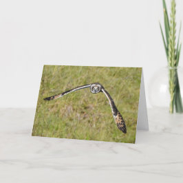 Cartão Coruja voando para você