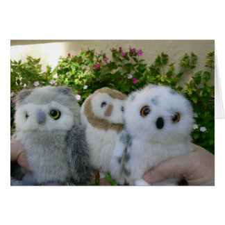 Cartão Corujas de quatro horas