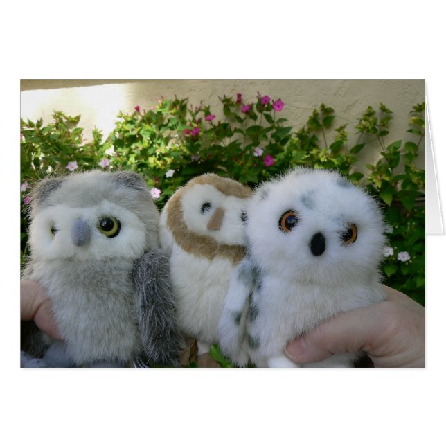 Cartão Corujas de quatro horas (Frente Horizontal)