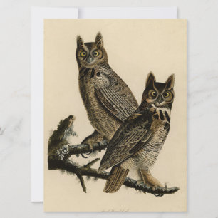 Cartão Corujas excelentes (por John James Audubon)