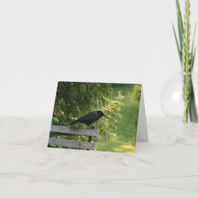 Cartão Corvus brachyrhynchos, Corvo Americano (Frente)