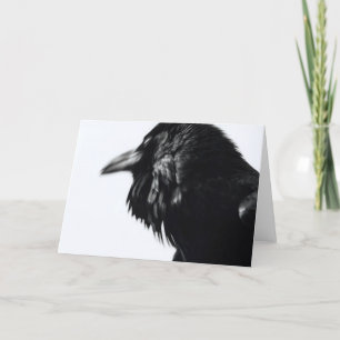 Cartão Corvus corax (Common Raven)