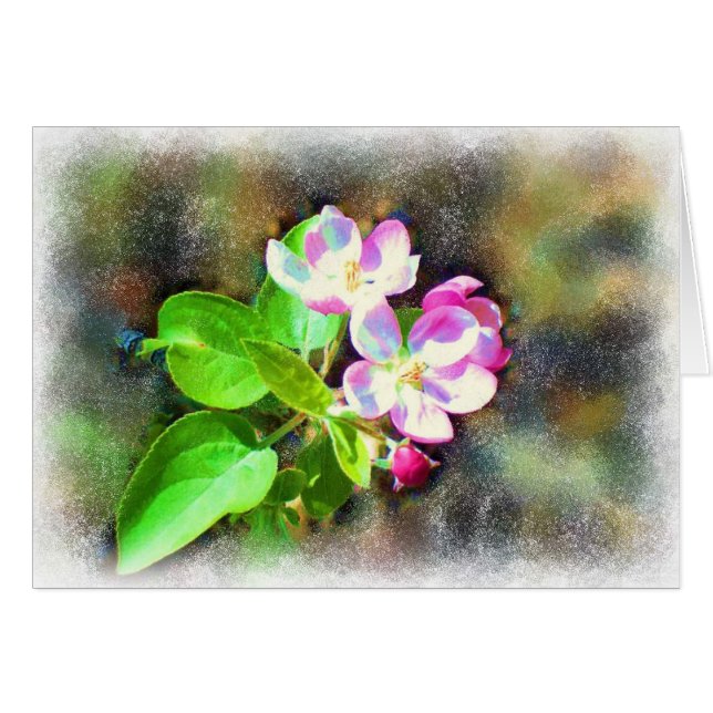 Cartão cósmico das flores (Frente Horizontal)