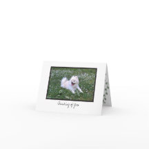 Cosmo #7 Blank Note Card