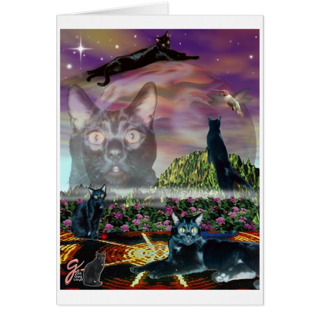 Cartão Cosmos (Frente)