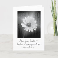 Cosmos Brancos Flores com Chuva