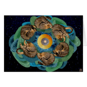 Cartão Cosmos do gatinho