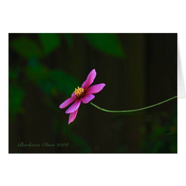 Cartão Cosmos-flor rosa elegante (Frente Horizontal)