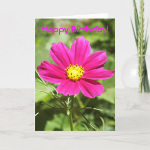 Cartão Cosmos Flower  Birthday Card