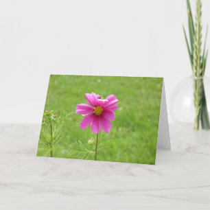 Cartão Cosmos Notecard