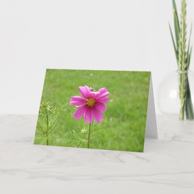 Cartão Cosmos Notecard (Frente)