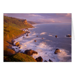 Cartão Costa de Redwoods, Califórnia