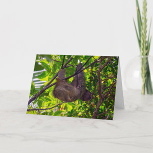 Cartão Costa Rica - Feliz preguiça, Antonio Manuel NP