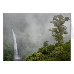 Cartão Costa Rica, floresta nublada nas montanhas perto d