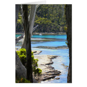 Cartão Costa tasmaniana