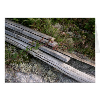 Cartão costelas de pote de lagosta rejeitadas, de novo