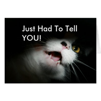 Cartão Costume e provérbios rudes do gato