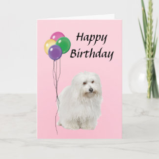 Cartão Coton De Tulear com Balões Feliz Aniversário