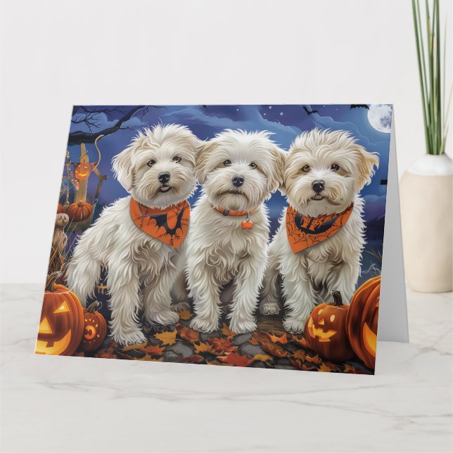 Cartão Coton De Tulear Halloween Spooky (Frente)