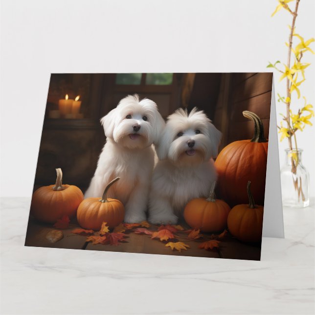 Cartão Coton De Tulear Puppy Autumn Delight Pumpkin (Flor Amarela)