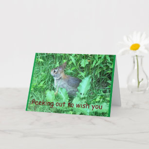 CARTÃO *COTRABALHADOR ESPECIAL* NA PLACA DE ANIVERSÁRIO