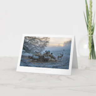 Cartão Cotswolds in Winter