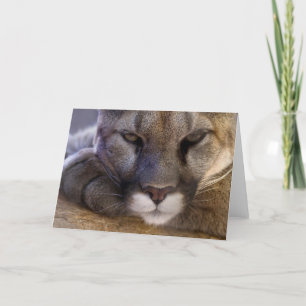 Cartão Cougar