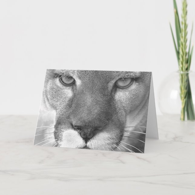 Cartão Cougar #1-Greeting card (Frente)