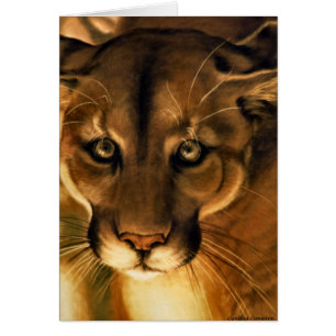 Cartão Cougar - Leão de Montanha - Puma