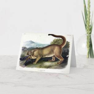 Cartão Cougar ou Puma, Pantera, Leão de Montanha, Catmont