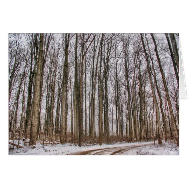 Cartão Country Road em Snowy Woods (Frente Horizontal)