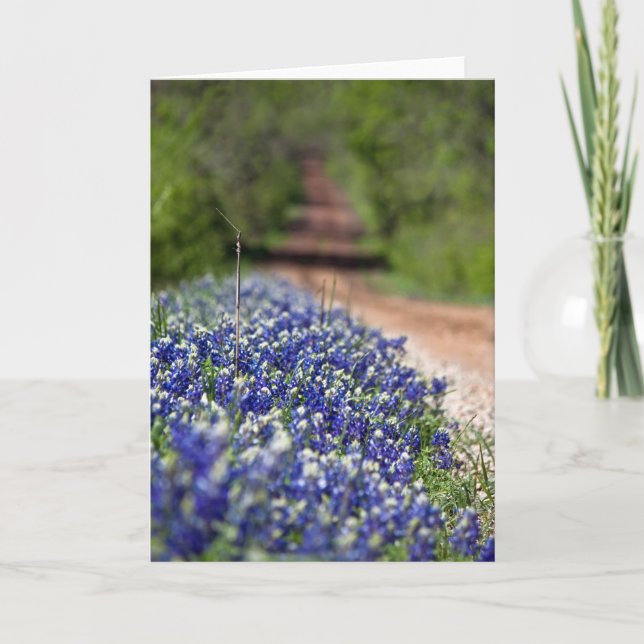 Cartão Country Road in Spring notecard (Frente)
