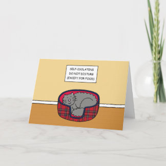 Cartão Covid 19 Cartoon Autoisolado Gato Dormindo