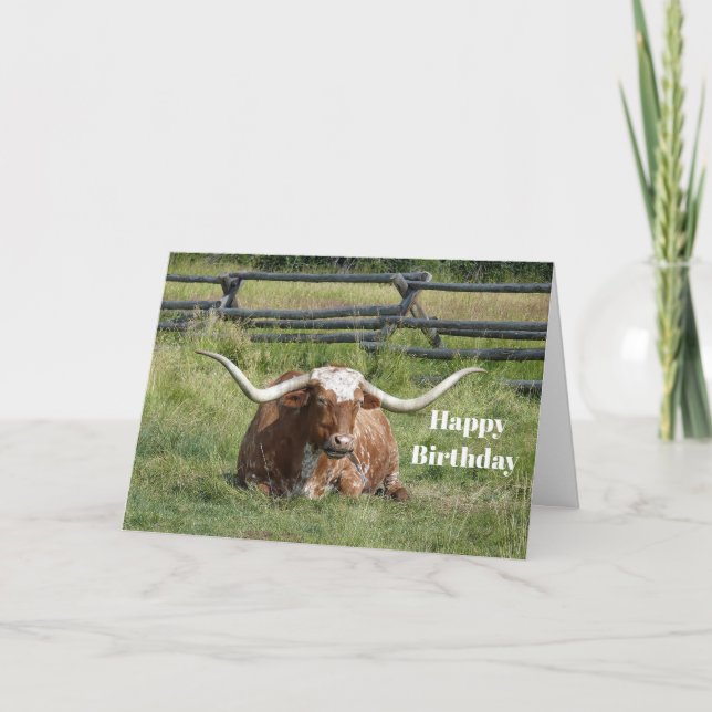 Cartão Cow Texas Longhorn Photo Birthday (Frente)