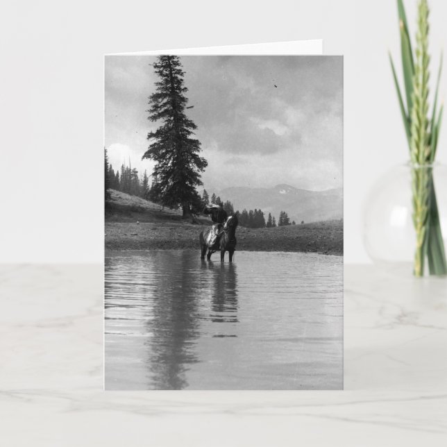 Cartão Cowboy in a pond (Frente)