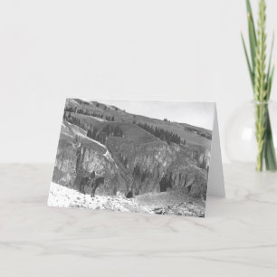 Cartão Cowboy separated from his herd.