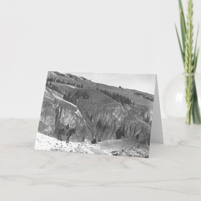 Cartão Cowboy separated from his herd. (Frente)