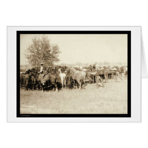 Cartão Cowboys Roping a Herd of Horses SD 1887