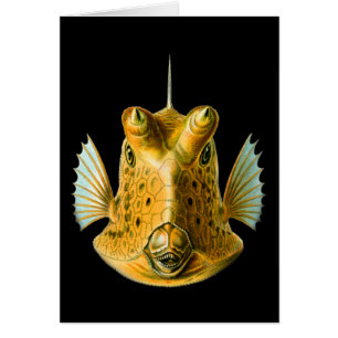 Cartão Cowfish Longo-horned