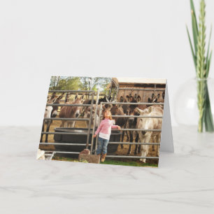 Cartão Cowgirl Engraçada Médica IG Feminina - Ocidental