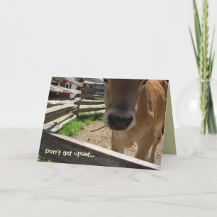 Cartão Cows 50th Birthday Card