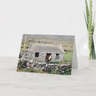 Cartão Cows in the house - blank card