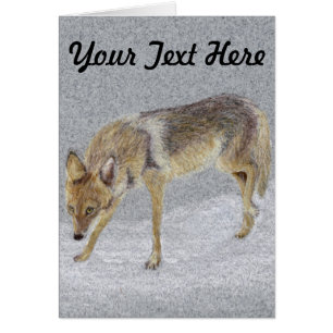 Cartão Coyote