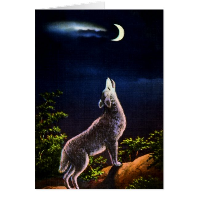 Cartão Coyote Howling na Lua (Frente)