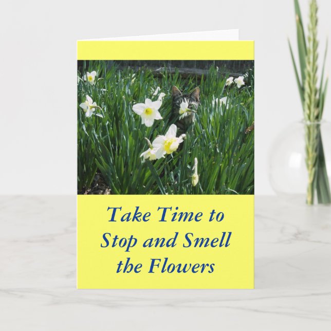 CARTÃO COZINHA NAS FLORES (Frente)