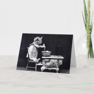 Cartão Cozinhar Miss Kitten