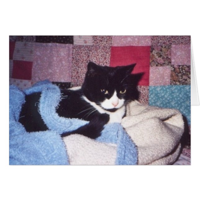 Cartão "Cozy Tiki" (Frente Horizontal)